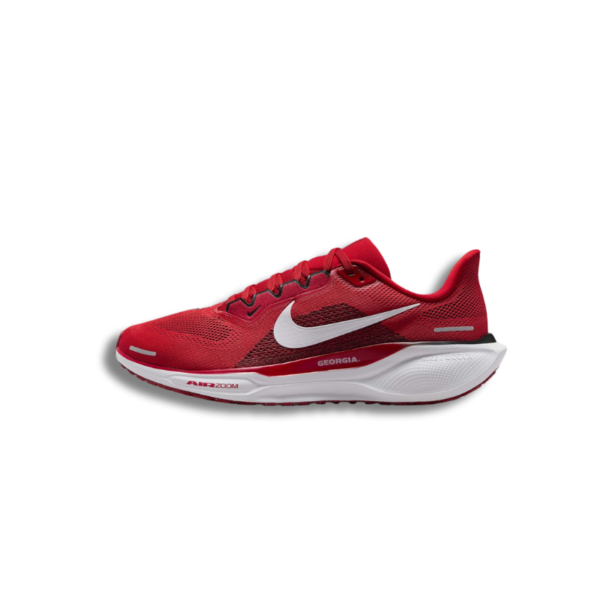 Nike Air Zoom Pegasus